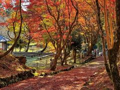 -醍醐寺