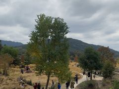 -塔川景区