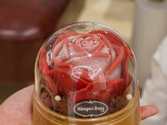 -哈根达斯(深圳海岸城店)