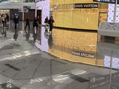 -LV路易威登(大兴国际机场店)