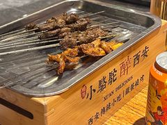 -福苗小骆驼烧烤(莲湖路店)
