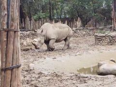 -北京野生动物园