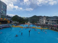 -芭厘·农庄老字号.电饭煲五指毛桃焗鸡