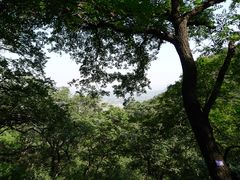 -北京鹫峰国家森林公园