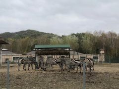 -哈尔滨北方森林动物园