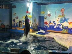 -太平洋海底世界