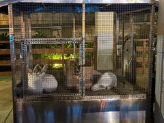 -华谊兄弟（长沙）电影小镇