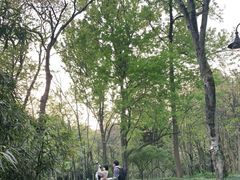 -杭州植物园