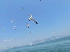 -刘公岛景区