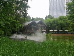 -静安公园(静安寺街道)