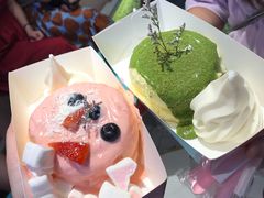 -狐狸和向日葵(北京路店)