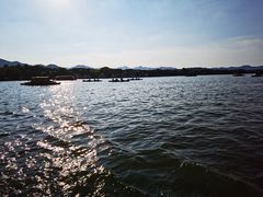 -西湖外事游船(花港观鱼码头)