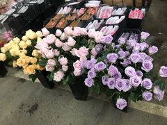 -三圣花乡旅游区