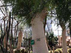 -北京植物园-展览温室