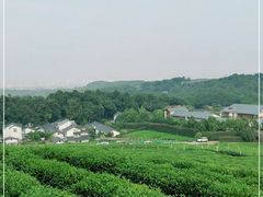 -中国茶叶博物馆(双峰馆区)