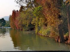 -星湖旅游景区七星岩