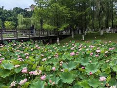 -沐仙湖湿地公园