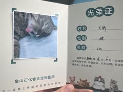 -睿金宠物医院·CT·肿瘤·骨外科