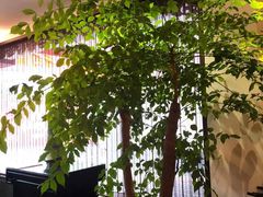 -儒之堂足道·SPA·推拿(莫干山路店)