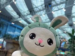 -青岛东方影都融创水世界