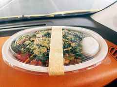 -油梨树 AVOCADO TREE(亮马桥店)
