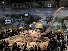 -自贡恐龙博物馆