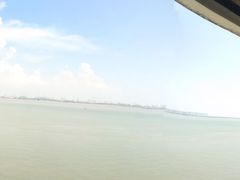 景点-大湾区中央湿地公园