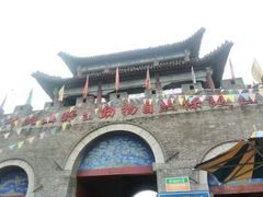 -西霞口神雕山野生动物世界