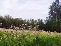 -东郊湿地公园