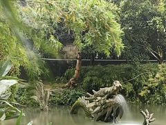 -汇龙潭