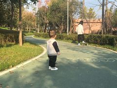 -洨河生态公园