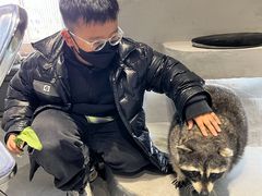 -浣熊柯尔鸭土拨鼠·电玩咖
