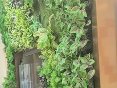 -深圳雅呗德口腔门诊部(坪山店)