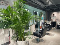 -Will+ Hair Studio