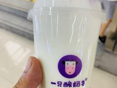 -一只酸奶牛(宝塔区万达店)