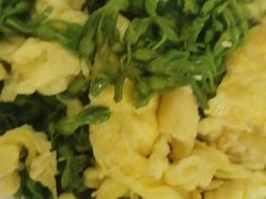 捞拌丝瓜尖-朝郡酒家·粤菜(燕大星苑店)