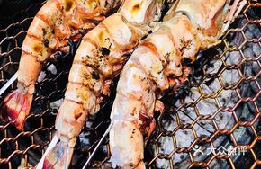 South American Shrimp King