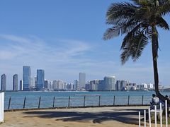 -万绿园