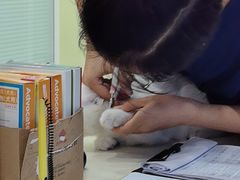 -全心全意连锁动物医院·微创中心·内科急重症·心脏专科(丰管路店)