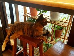 -猫的天空之城概念书店(杭州南宋御街店)