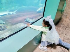 -福州罗源湾海洋世界旅游区