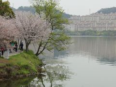 -团城山公园