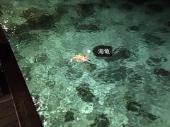 -卡帕莱度假村(西巴丹岛)