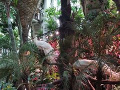 -正佳雨林生态植物园
