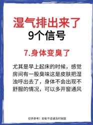 -Fundi张玉珊修身堂·indiba·BTL科技瘦身