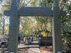 -上海佘山国家森林公园天马山园