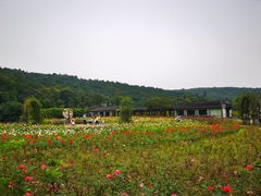-龙寺生态园