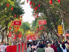 -越秀西湖花市(广州城市广场花卉店)