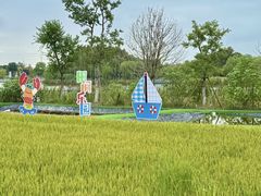 -杭州湾海上花田景区