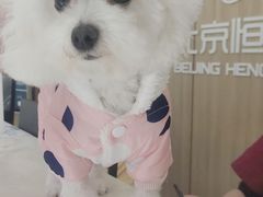 -北京恒爱动物医院(清景园分院)